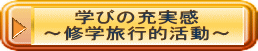 学びの充実感 ～修学旅行的活動～