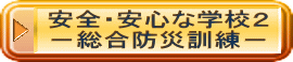 安全・安心な学校２ －総合防災訓練－